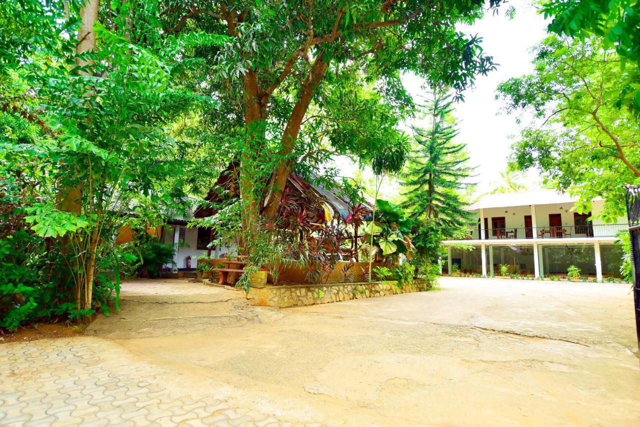 Ariya Rest & Ayurveda Spa Polonnaruwa Eksteriør bilde